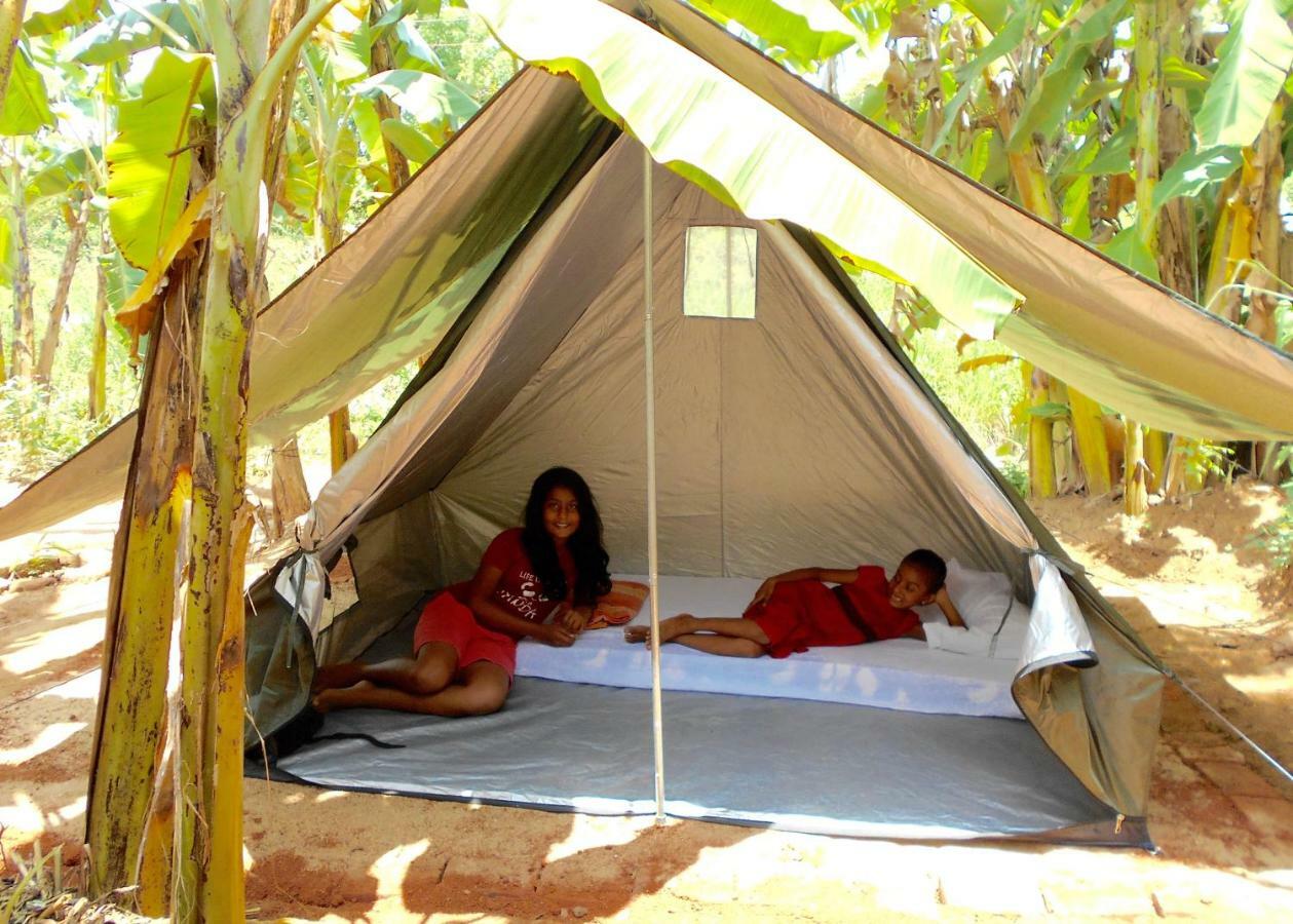 Homestay Camping Anuradhapura Exterior foto