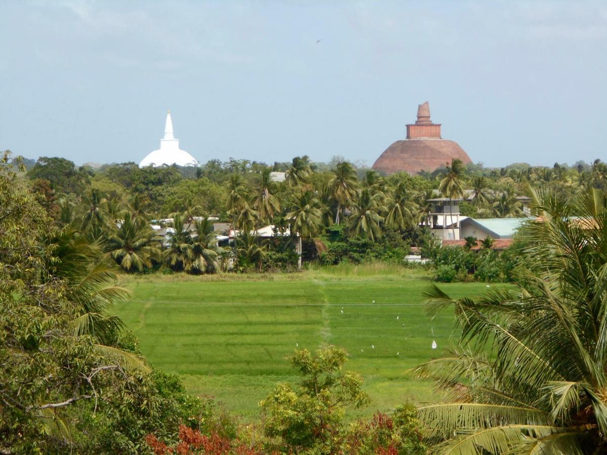 Homestay Camping Anuradhapura Exterior foto