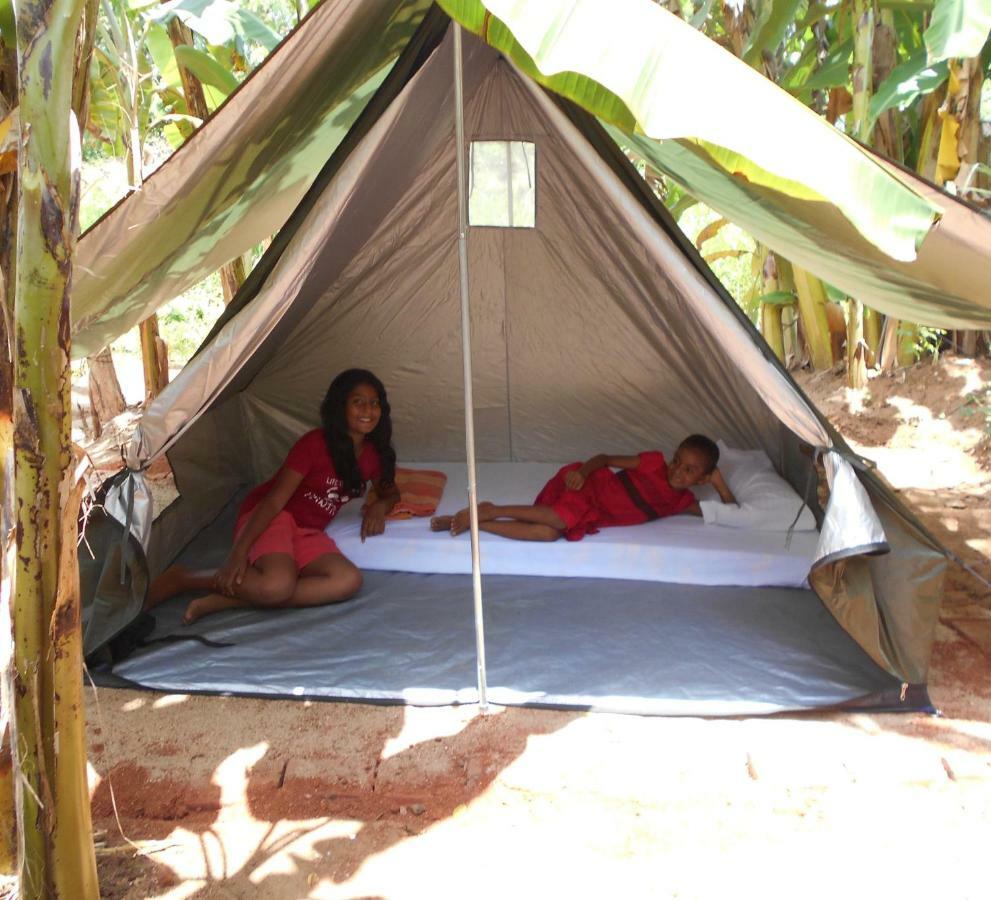 Homestay Camping Anuradhapura Exterior foto